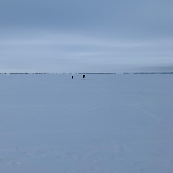 Meet your Posher, Deanna - Picture 1 of 1